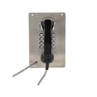 Telèfon Anti Vandal